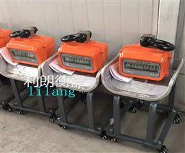 河南省5噸耐*溫電子吊稱批發(fā)