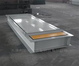 *軸重秤/40T固定式汽車輪軸稱