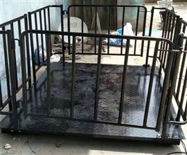 豬籠電子秤