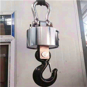 武漢10噸電子吊磅