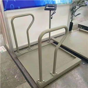 西安*透析電子秤