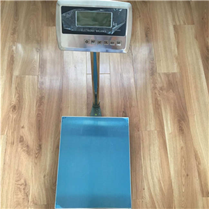 湘潭100kg*度1g的電子秤