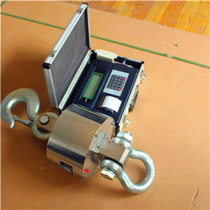 畢節(jié)30噸打印電子吊磅