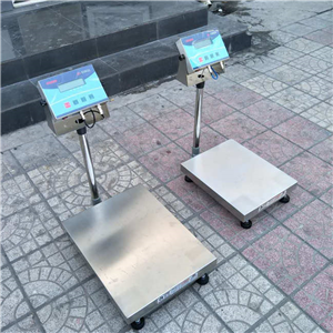 河北保定防爆電子稱