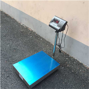 天津100公斤電子臺稱