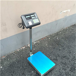 廣西帶U盤輸出電子秤