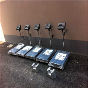 張家口150kg/1g電子臺秤