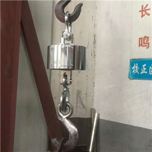 上海10噸電子吊鉤秤