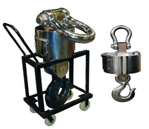 友聲*5噸電子吊秤報(bào)價(jià)
