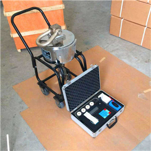 紹興20t無線打印電子吊秤