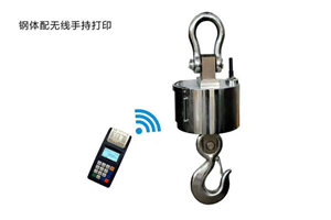 煙臺20噸塔吊秤