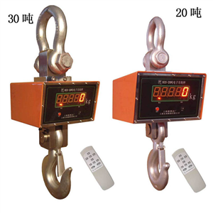 上海頓科30噸直視電子吊稱價(jià)格表