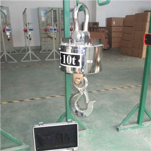郴州20噸無線打印電子吊秤