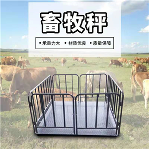 養(yǎng)殖場(chǎng)畜牧圍欄地磅秤