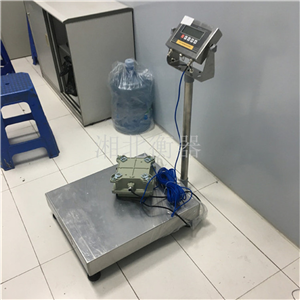 耀華EX-A8本安防爆電子臺(tái)秤100kg價(jià)格