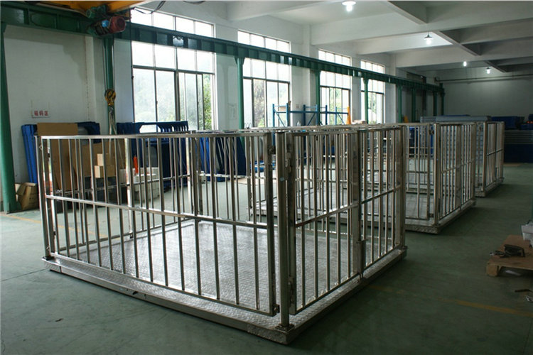 滄州2000斤電子豬稱