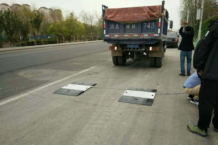 便攜式汽車衡