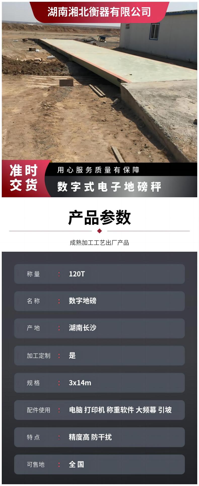 衡陽(yáng)100T電子汽車衡