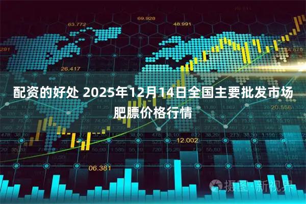 配资的好处 2025年12月14日全国主要批发市场肥膘价格行情