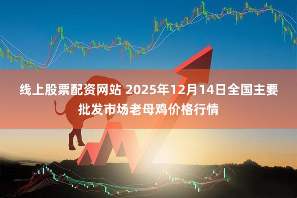 线上股票配资网站 2025年12月14日全国主要批发市场老母鸡价格行情