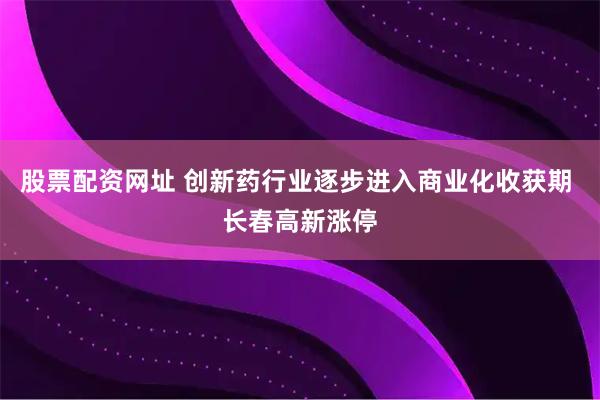 股票配资网址 创新药行业逐步进入商业化收获期 长春高新涨停